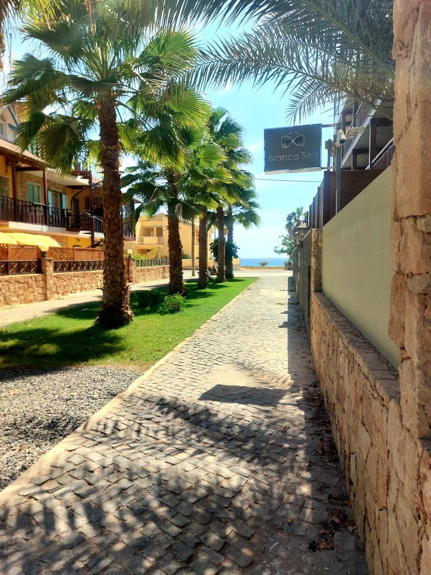 Branco Sea Holiday Apartments ซังตามาเรีย ภายนอก รูปภาพ